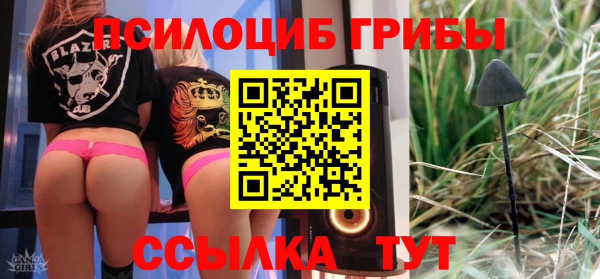 Галлюциногенные грибы прущие грибы  Вход с VPN  Волгодонск 